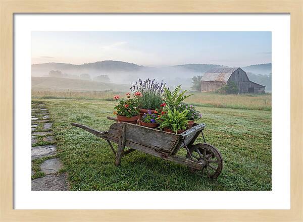 Old Wooden Wheelbarrow With Flowers
