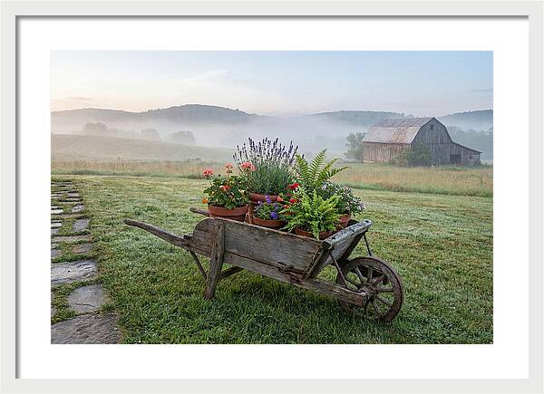 Old Wooden Wheelbarrow With Flowers
