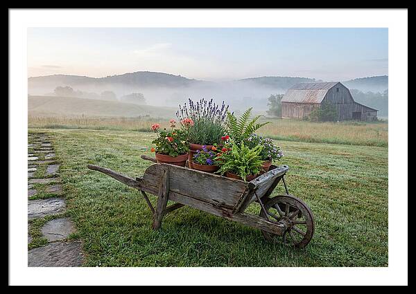 Old Wooden Wheelbarrow With Flowers