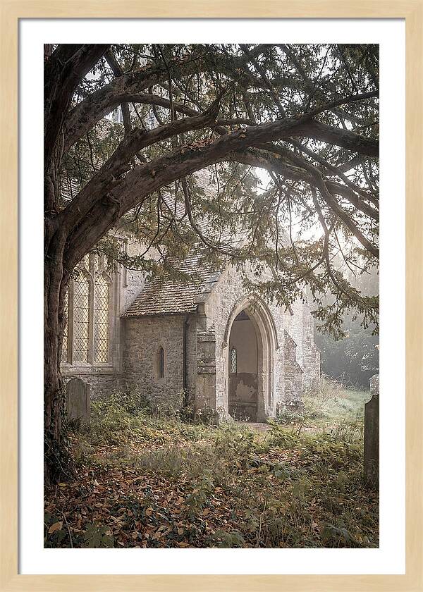 Old Yew Tree Arch