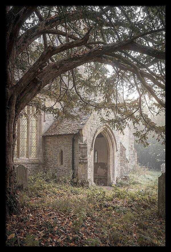 Old Yew Tree Arch