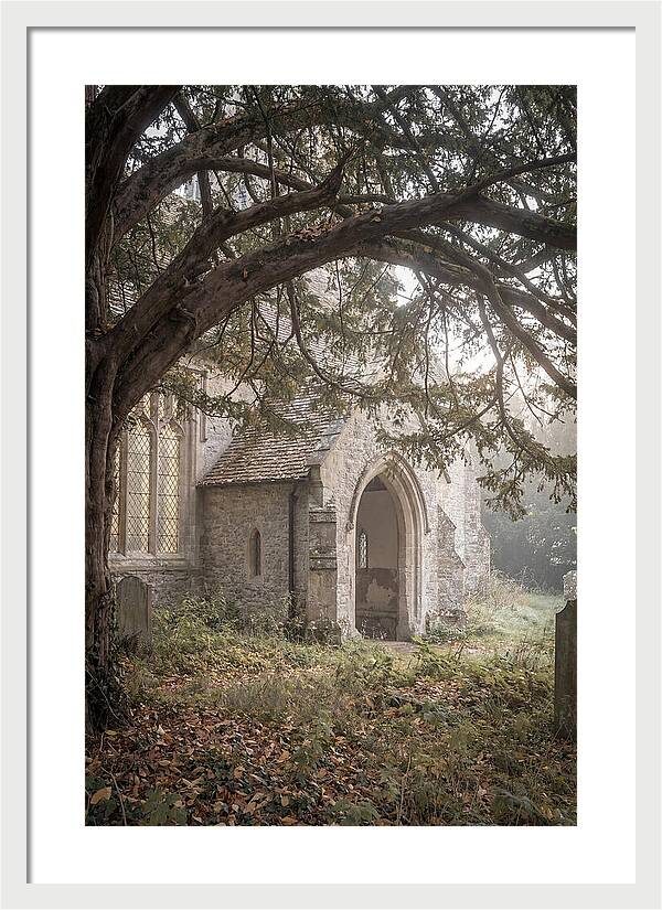 Old Yew Tree Arch