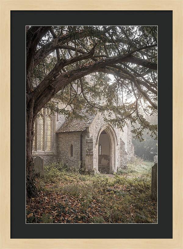 Old Yew Tree Arch