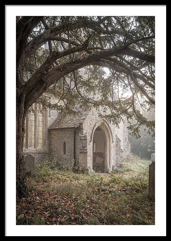 Old Yew Tree Arch
