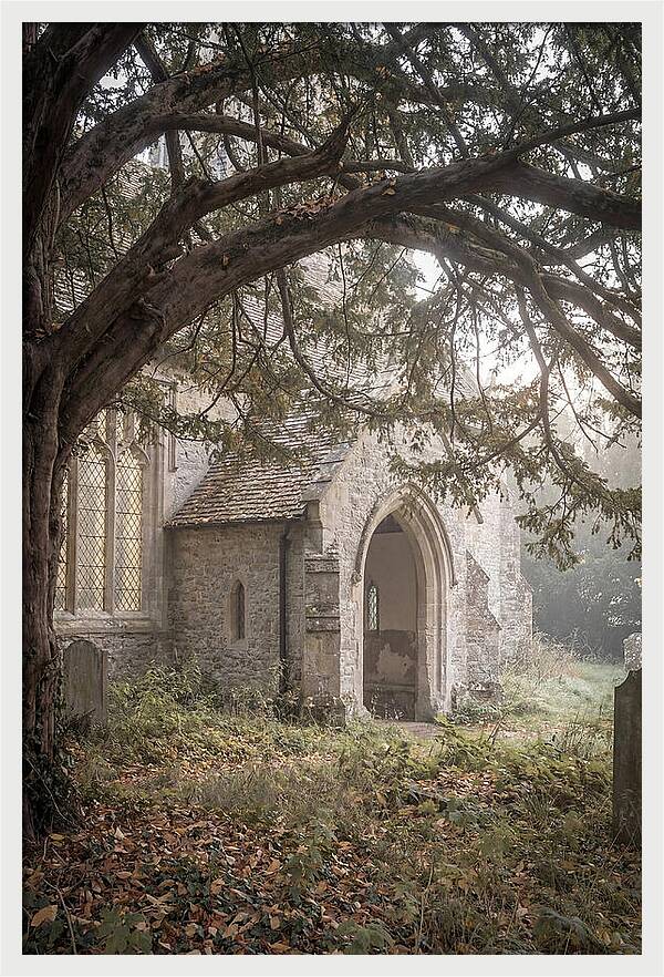 Old Yew Tree Arch