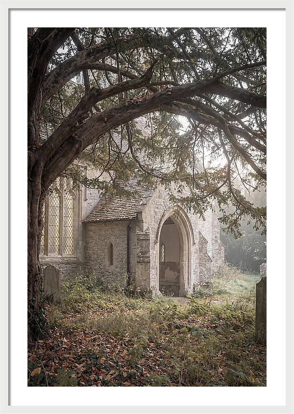 Old Yew Tree Arch