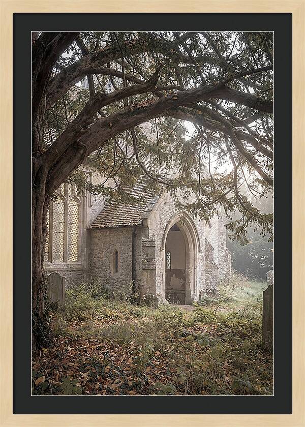 Old Yew Tree Arch