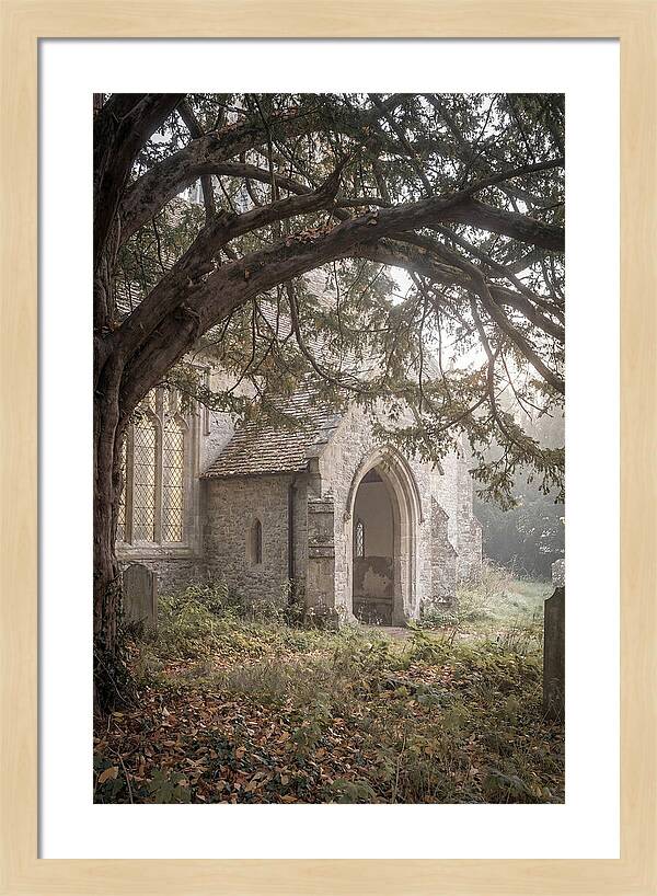 Old Yew Tree Arch