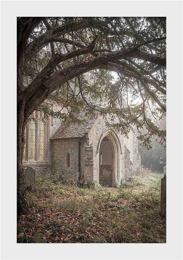 Old Yew Tree Arch