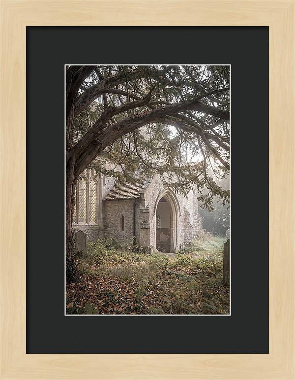 Old Yew Tree Arch