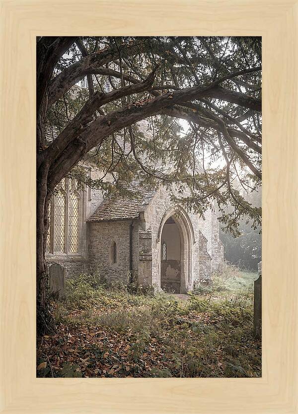 Old Yew Tree Arch
