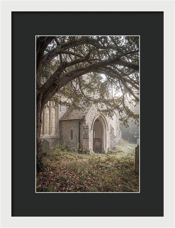 Old Yew Tree Arch
