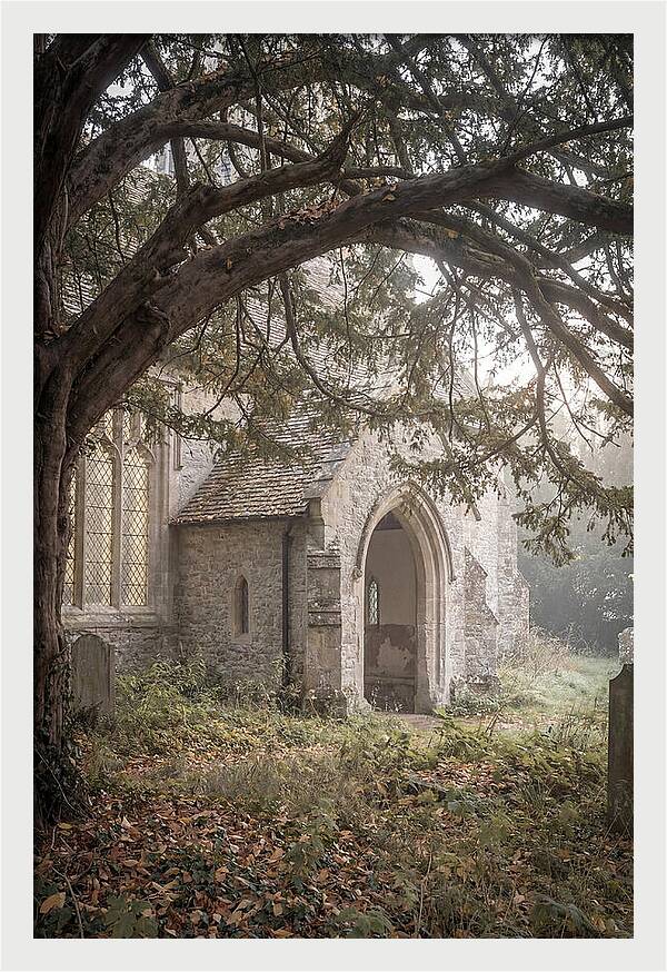 Old Yew Tree Arch
