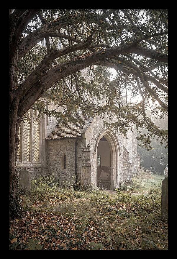 Old Yew Tree Arch
