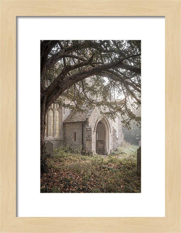 Old Yew Tree Arch