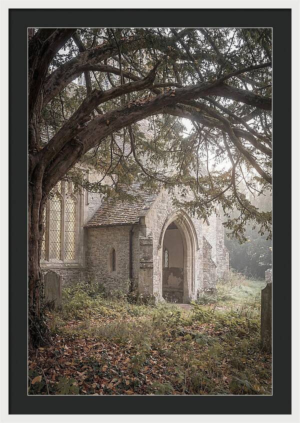 Old Yew Tree Arch