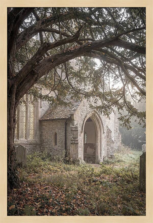 Old Yew Tree Arch