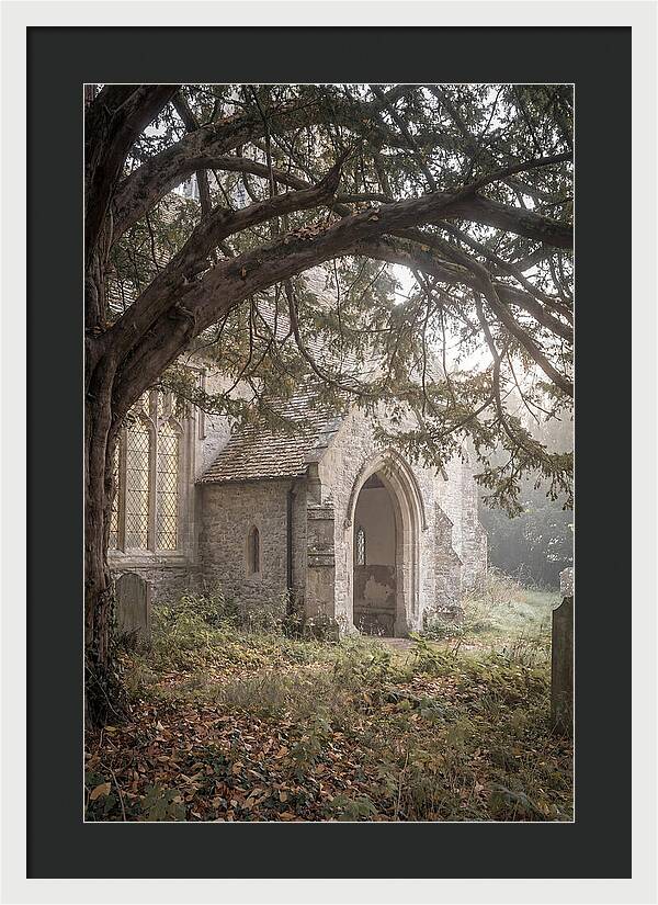 Old Yew Tree Arch