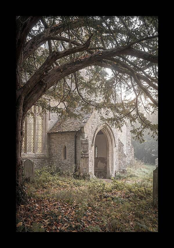 Old Yew Tree Arch