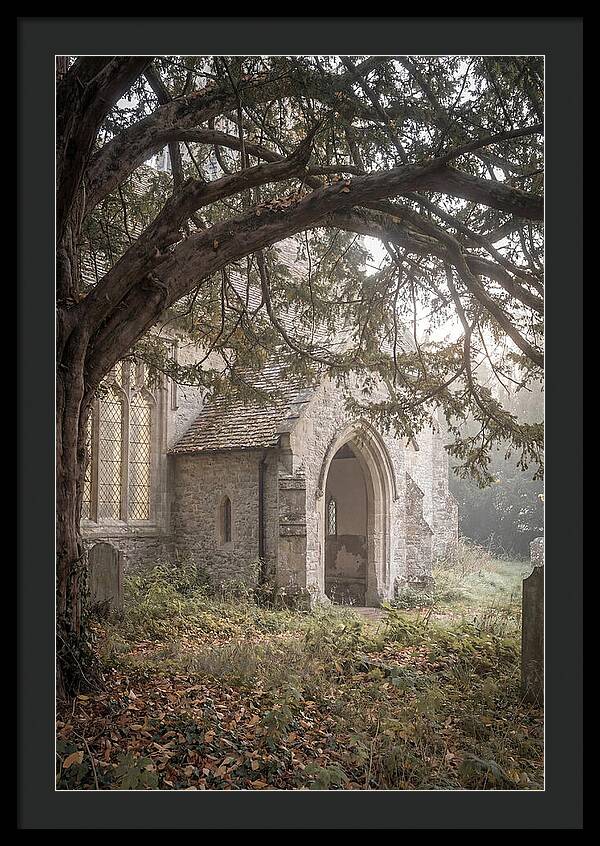 Old Yew Tree Arch