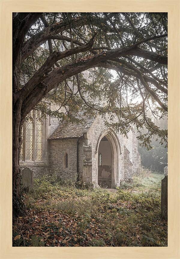 Old Yew Tree Arch