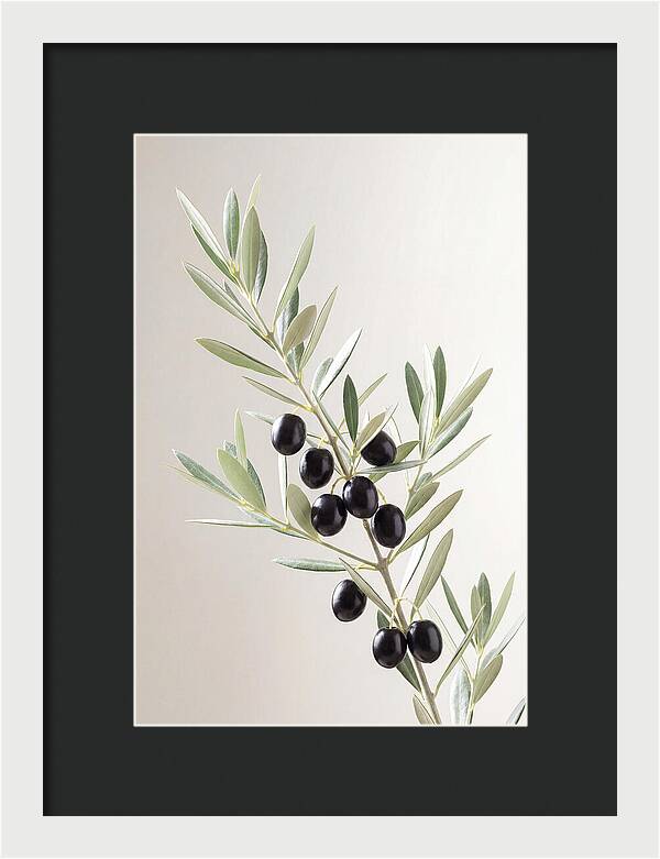 Olive Branch Elegance