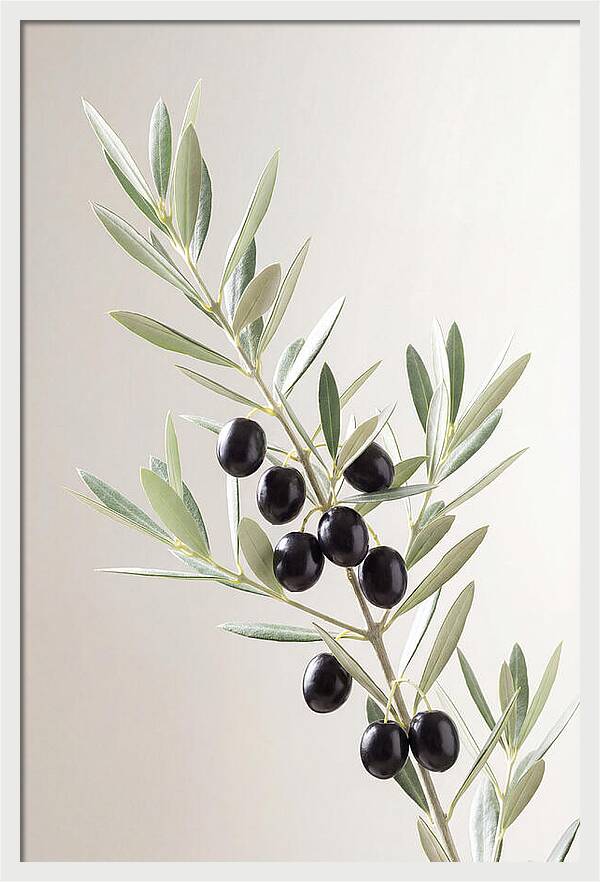 Olive Branch Elegance