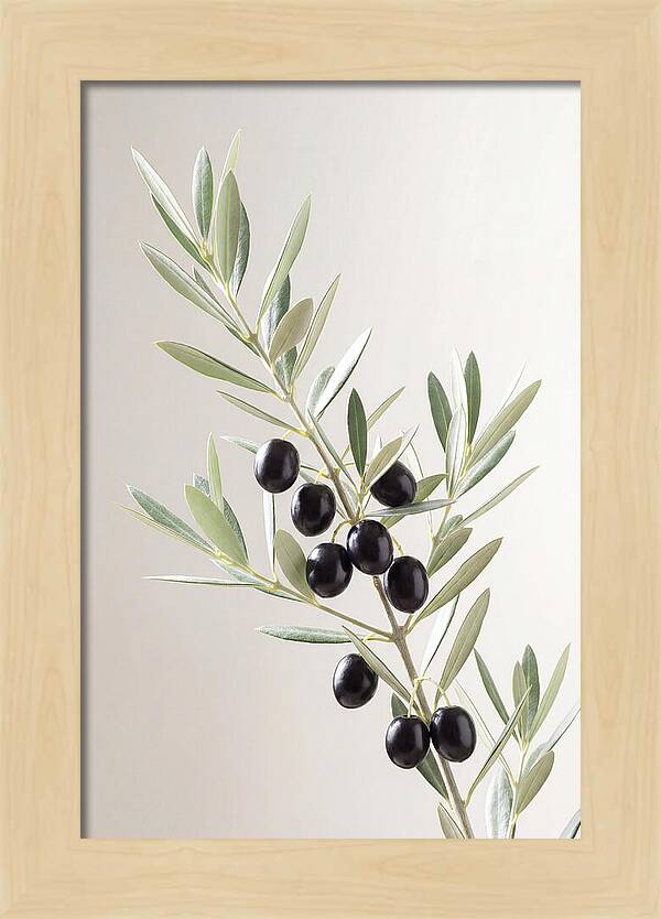 Olive Branch Elegance