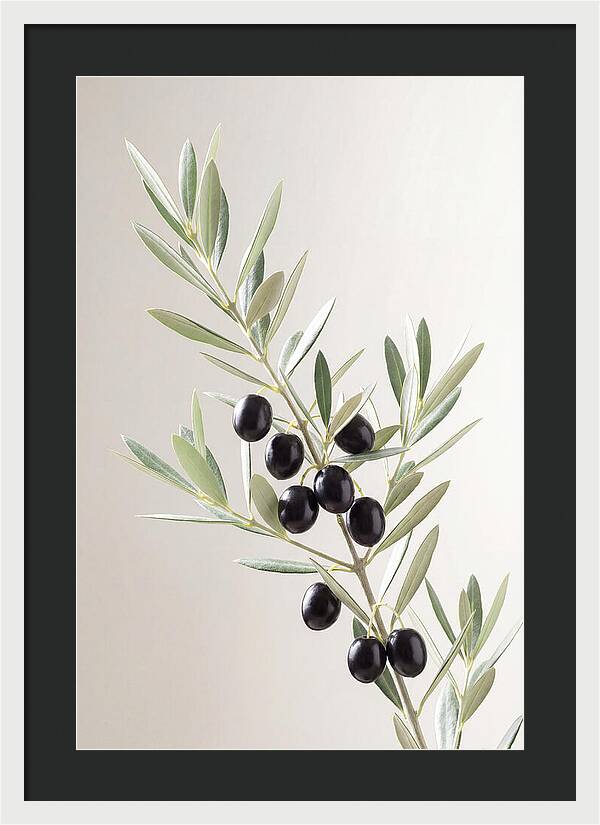 Olive Branch Elegance