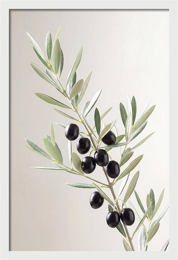 Olive Branch Elegance