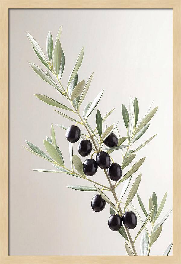 Olive Branch Elegance