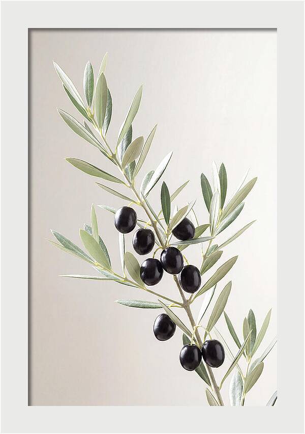 Olive Branch Elegance