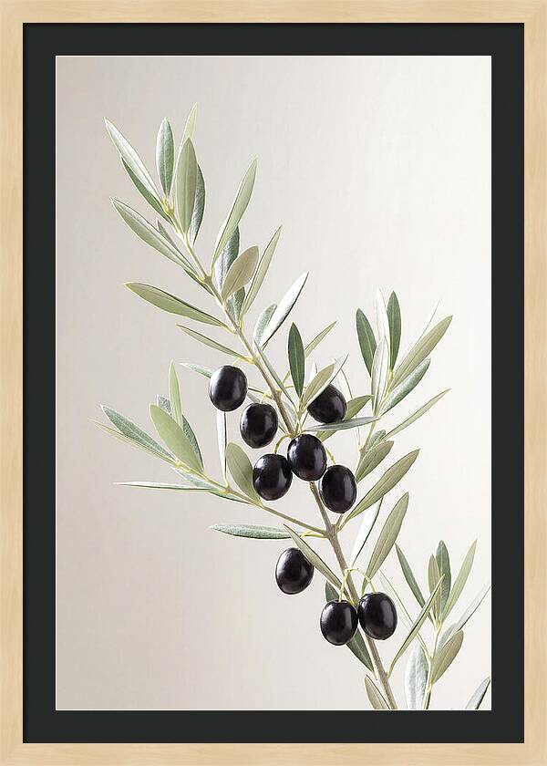 Olive Branch Elegance