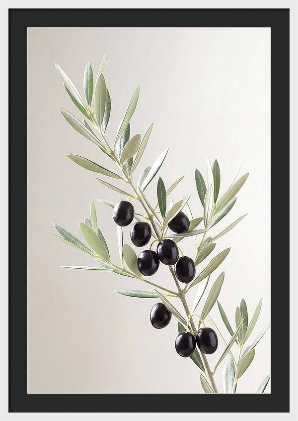 Olive Branch Elegance