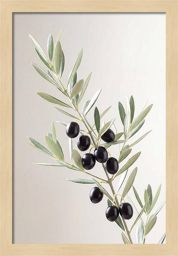 Olive Branch Elegance