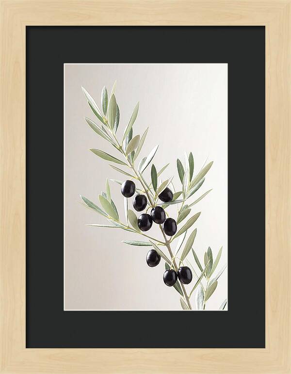 Olive Branch Elegance