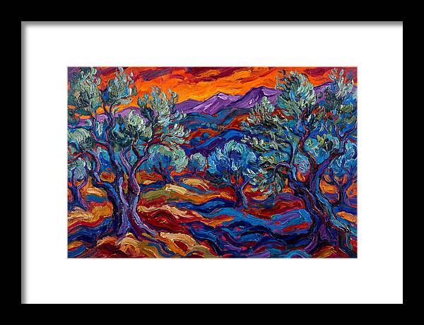 Olive Grove At Dusk