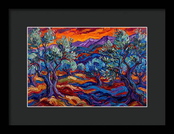 Olive Grove At Dusk