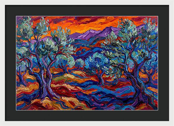 Olive Grove At Dusk