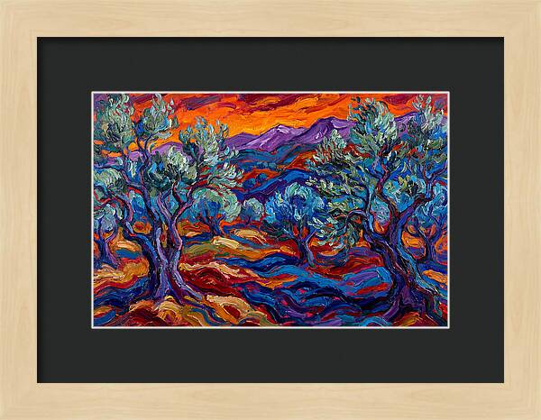 Olive Grove At Dusk