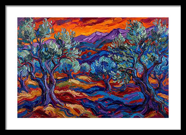 Olive Grove At Dusk