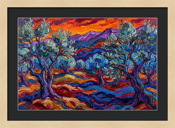 Olive Grove At Dusk