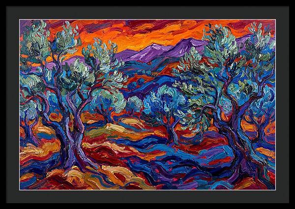Olive Grove At Dusk
