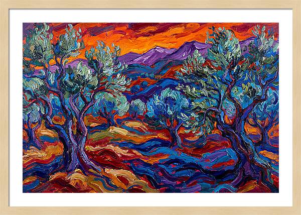 Olive Grove At Dusk