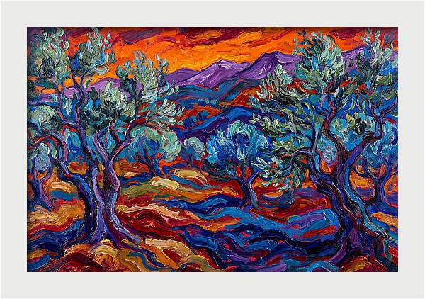 Olive Grove At Dusk