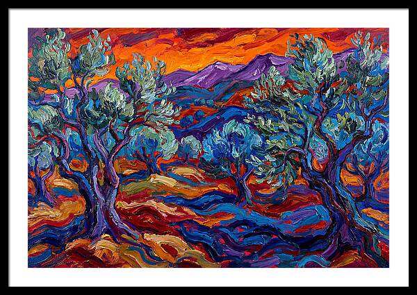 Olive Grove At Dusk