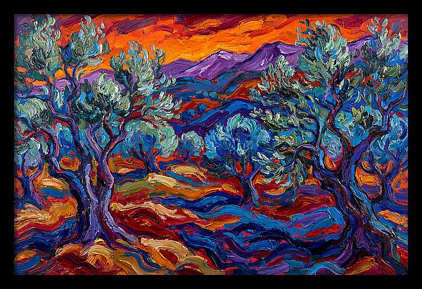 Olive Grove At Dusk