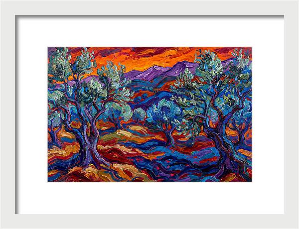 Olive Grove At Dusk