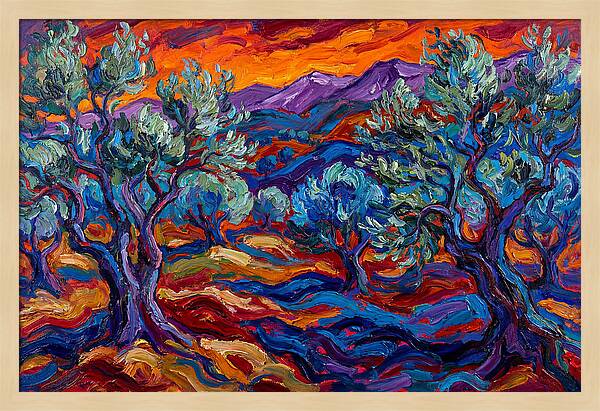 Olive Grove At Dusk