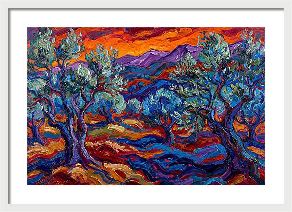 Olive Grove At Dusk